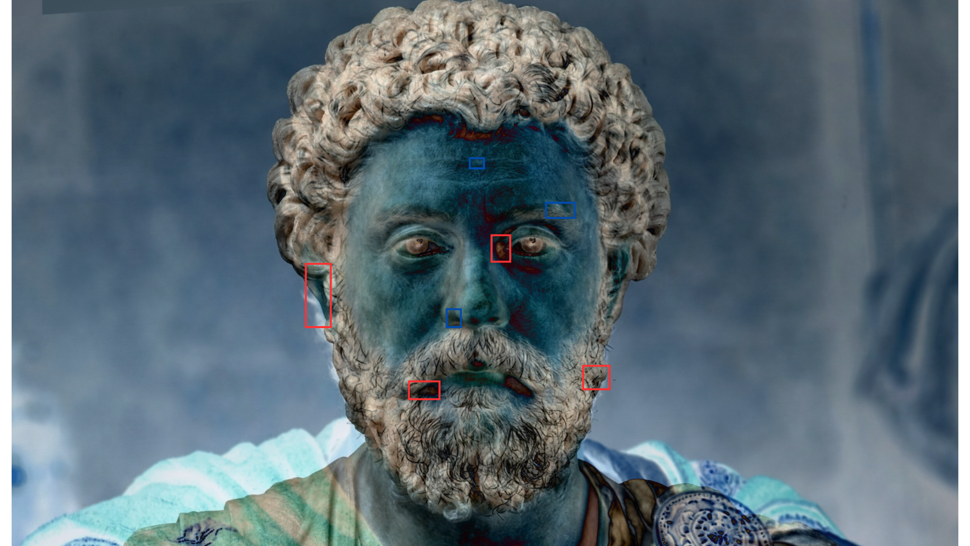 Facial Topography Reference